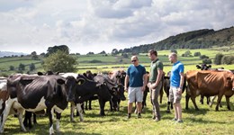 Hendy-gwyn ar Daf : Targedu Sero Net – Iechyd a Pherfformiad y Fuches